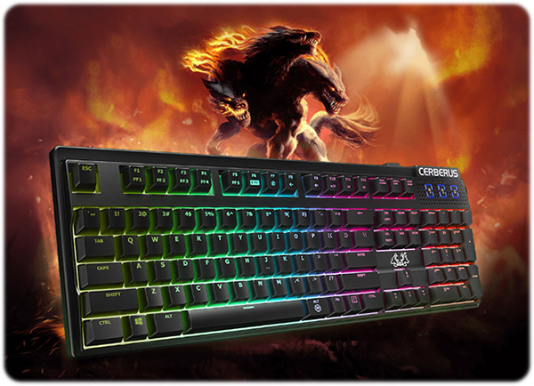 خرید کیبورد گیمینگ ایسوس CERBERUS MECH RGB - Image 8