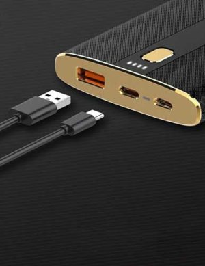 پاور بانک الدینیو مدل PQ1010 ظرفیت 10000 میلی آمپر ساعت