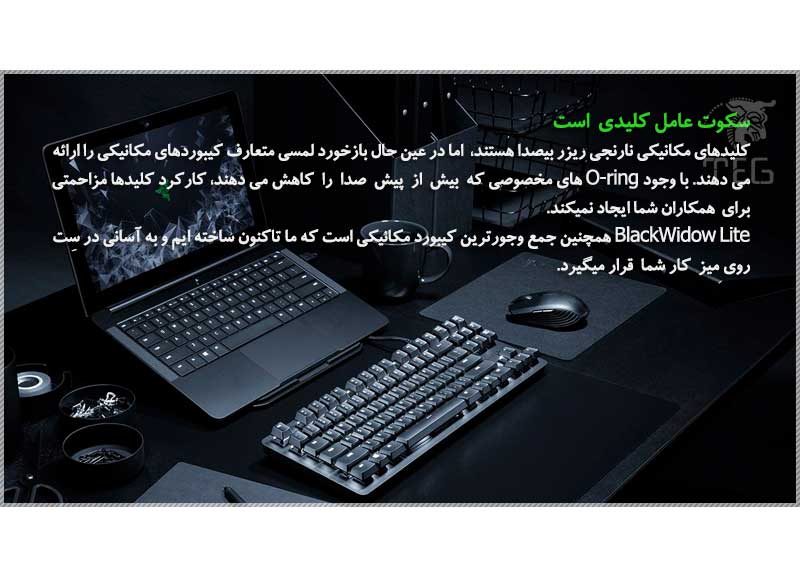 خرید کیبورد گیمینگ ریزر RAZER Blackwidow Lite Storm Trooper