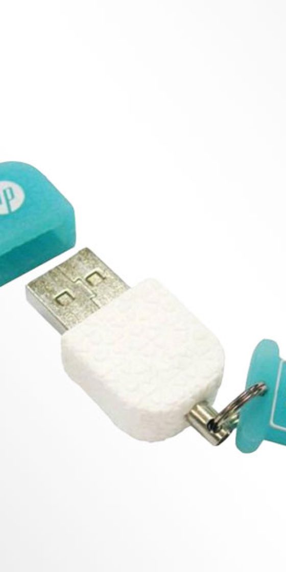 HP-FLASH MEMORY 175 – 8GB