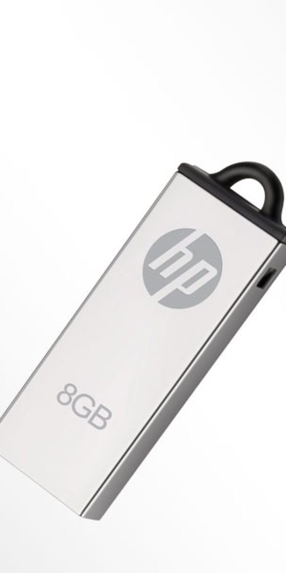 HP-FLASH MEMORY 220-8GB