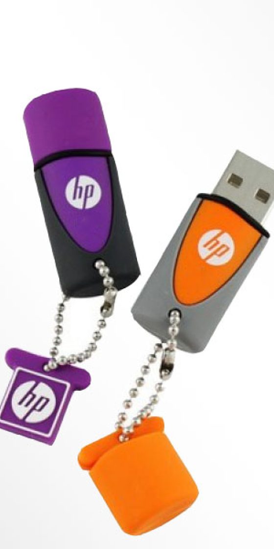 HP-FLASH MEMORY 245 – 4GB