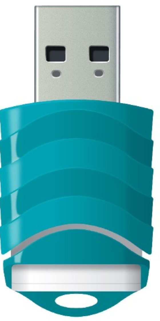 LEXAR FLASH MEMORY V30 16GB