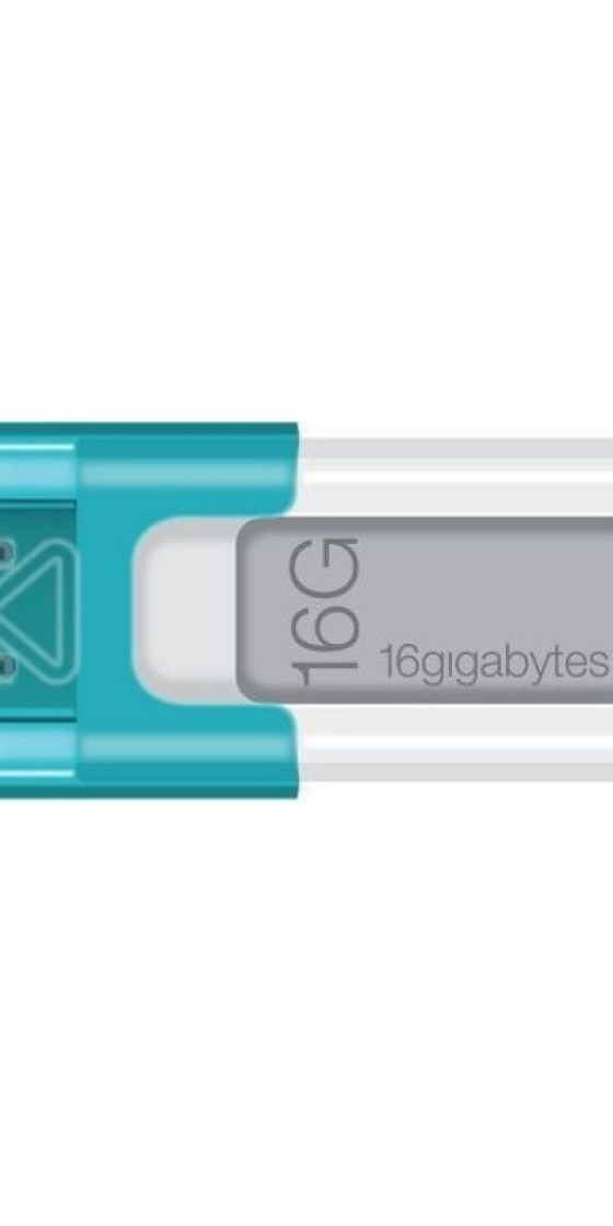 LEXAR FLASH MEMORY V10 16GB