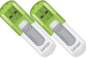 LEXAR FLASH MEMORY V10 32GB